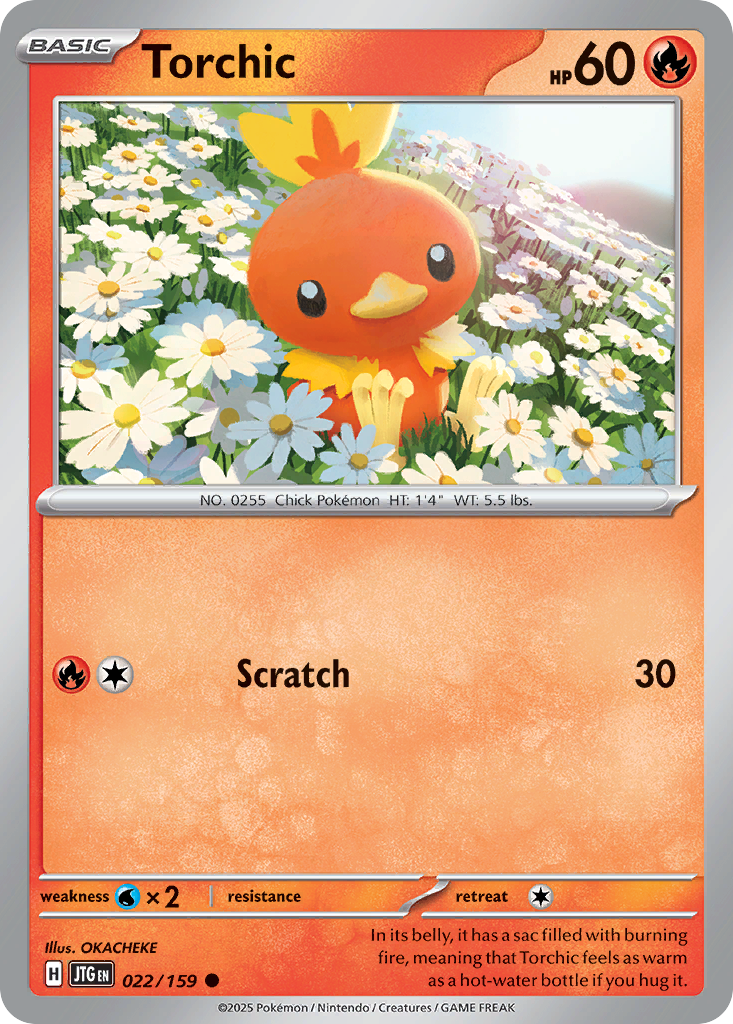Torchic (Basic Pokémon) (JTG-022/159) (Common)