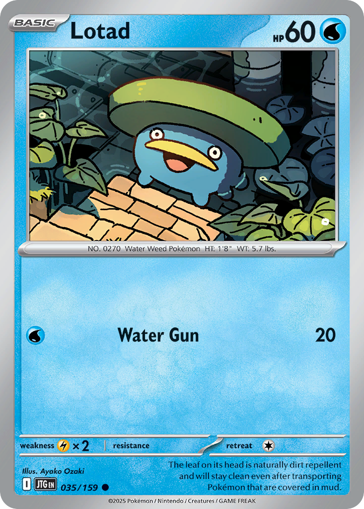 Lotad (Basic Pokémon) (JTG-035/159) (Common)