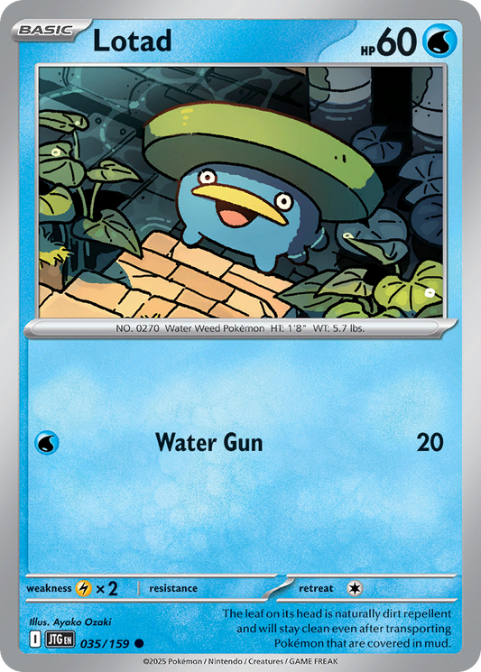 Lotad (Basic Pokémon) (JTG-035/159) (Common)