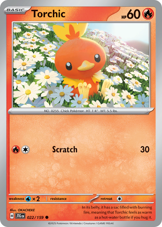 Torchic (Basic Pokémon) (JTG-022/159) (Common)