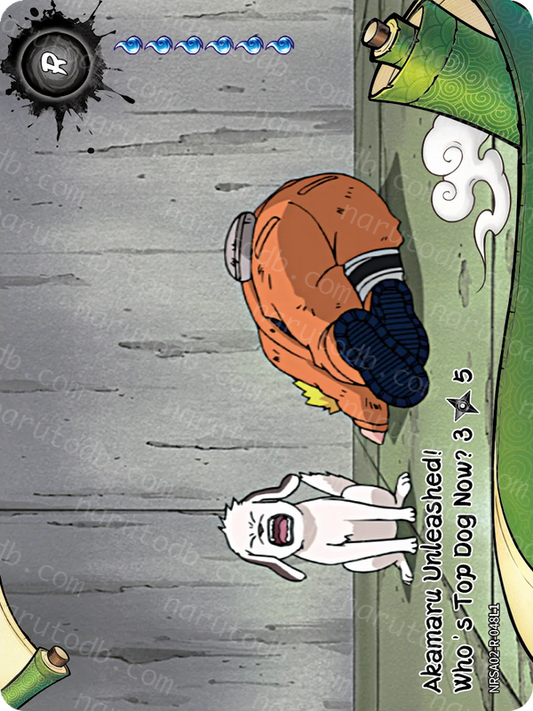 Akamaru Unleashed! Who's Top Dog Now? (3/5) (NRSA02-R-048L1) (R)